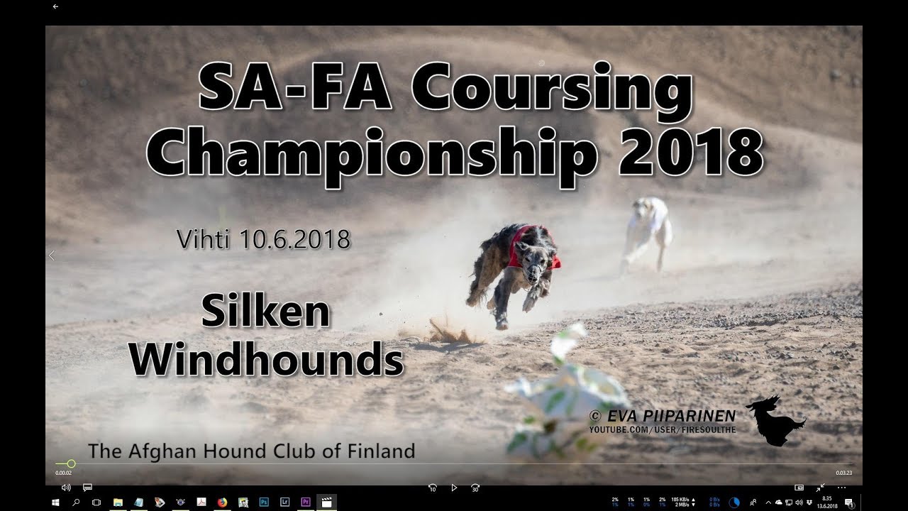 SA-FA Coursing  Championship 2018  ► Silken Windhounds