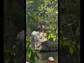 These Random Days End up meaning Everything #MalibuCreek #SummerVibes #Calif #ExplorePage #Backflip