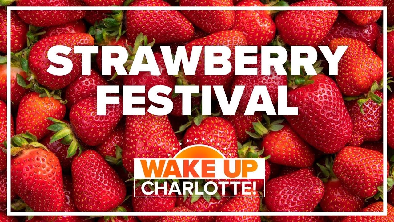 A sneak peek of the Fort Mill Strawberry Festival WakeUpCLT To Go