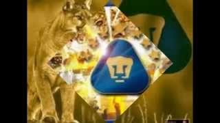 las mejores imagenes del pumas