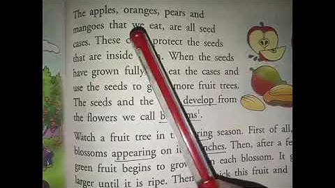 STD 3 E R L  8 IN THE ORCHARD EXPLANATION