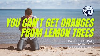 You Can’t Get Oranges from Lemon Trees