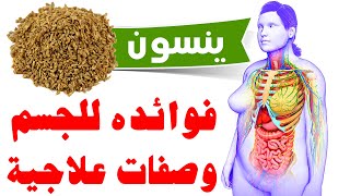 7 فوائد صحية لليانسون و إستخدامات بذور اليانسون لعلاج الأمراض طبيعيا عبر الإستعمال اليومي