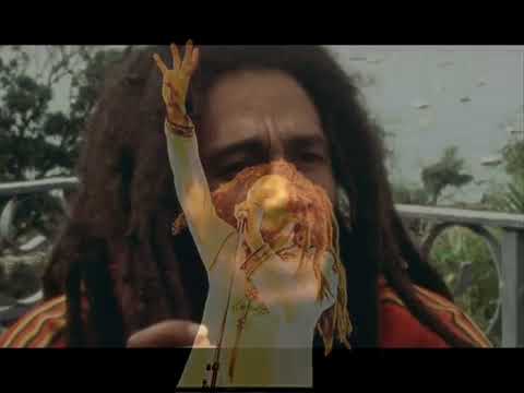 Bob Marley & The Wailers - Live Osaka Japon 79 - YouTube