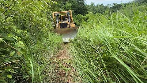 Wow Amazing – See How the CAT D6R XL Bulldozer Operator Builds a Plantation Road in No Time!