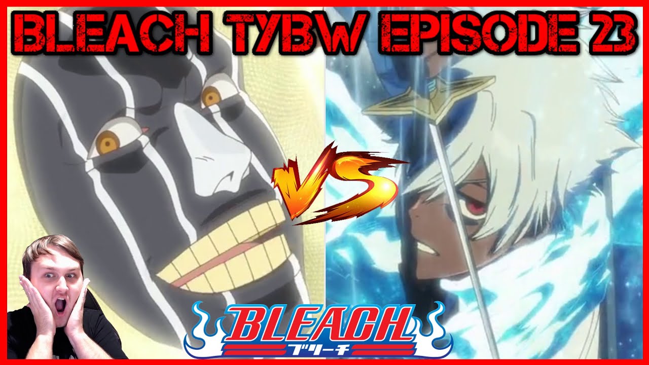 Bleach TYBW episode 23 preview hints at Hitsugaya going against the  shinigami