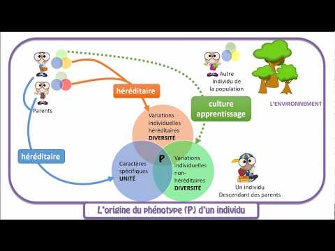 Vidéo: Qu'est-ce que le contrôle de la population descendant et ascendant ?