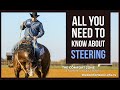 HOW I Teach Horses To STEER With Your Finger Tips