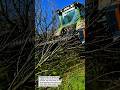 TREE BRANCHES SHREDDED IN ONE PASS – SUPER COOL LAND CLEARING TOOL!