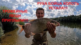 видео: ЭТУ РЫБАЛКУ Я ЗАПОМНЮ НАДОЛГО!!! ЛОВЛЯ РЕЧНЫХ МОНСТРОВ НА ГОРОХ В АВГУСТЕ!!! ВСЁ ДЕЛО В ОСНАСТКЕ!!! картинка: ЭТУ РЫБАЛКУ Я ЗАПОМНЮ НАДОЛГО!!! ЛОВЛЯ РЕЧНЫХ МОНСТРОВ НА ГОРОХ В АВГУСТЕ!!! ВСЁ ДЕЛО В ОСНАСТКЕ!!!