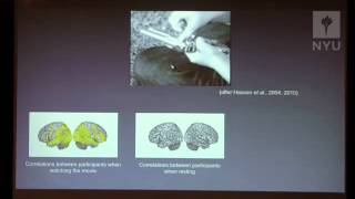 Adrian Owen 'Consciousness, Executive Function and the Master of Suspense.'