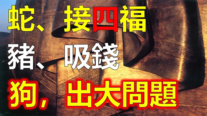 属蛇人接4福，属猪人2024年有好运，属狗人出大事，有大问题，2024生肖蛇运势分析、属猪人的今年赚钱容易，属狗人也可发财，龙年3生肖赚钱发财，属蛇人请接福，生肖蛇接福赚钱横财，十二生肖往期视频直播 - 天天要闻