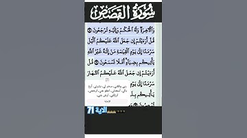 سورة القصص الآية 71 #قرآن #quran #islam #islamicstatus