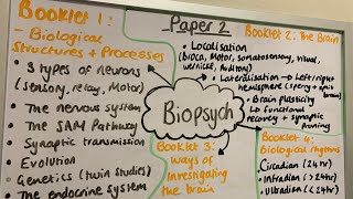 Sunday Session Revision Blast: Paper 2 Biopsychology
