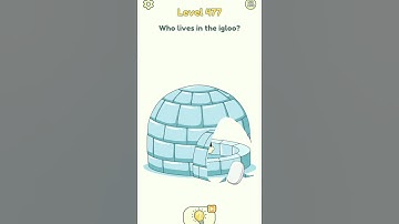 Dop 2 : who lives in the igloo ? || level-477