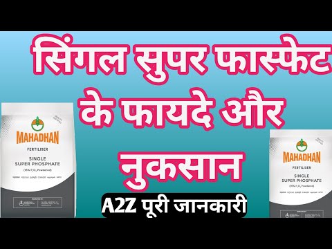 वीडियो: सुपरफॉस्फेट सूचना: बगीचे में सुपरफॉस्फेट का उपयोग कब करें