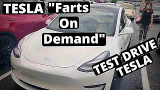 Driving Tesla for the first time!