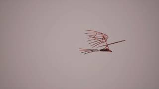 DaVinci Flying Machine exuded using UE5
