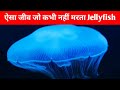 Jellyfish से जुड़ी कुछ मजेदार बातें - Interesting Facts About Jellyfish #YouTubeShortVideos #Shorts