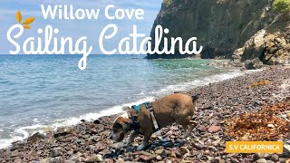 Sailing to Catalina: Willow Cove  Anchoring, Hiking, and Native Plants.