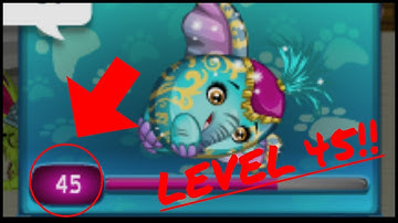 HOW TO LEVEL UP YOUR PET TO LEVEL 50 IN UNDER 1 MINUTE!!! - MSP