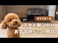 【子犬のお迎え準備】育ててわかった本当に必要なものオススメ７品【凸凹トイプードル】