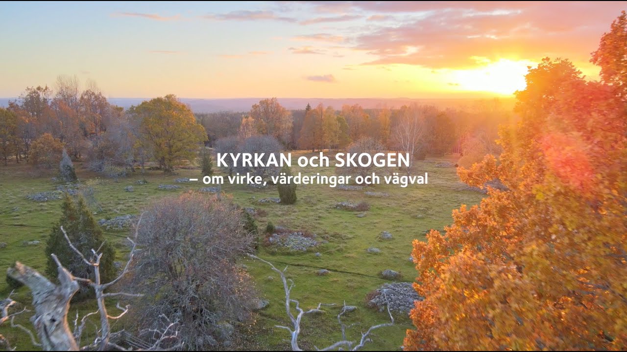 Ur filmen Kyrkan och skogen