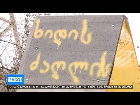 რას ითვალსწინებს შინაურ ცხოველთა კეთილდღეობის შესახებ კანონპროექტი