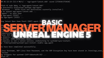 Unreal Engine Dedicated Server Manager: From Start to Finish
