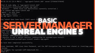 Unreal Engine Dedicated Server Manager: From Start to Finish
