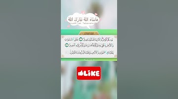 #سوره التغابن