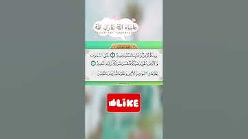 #سوره التغابن