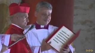 Pope - DJO
Pope Pope - DJO