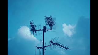 THE CURE - Fascination street (Extended Mix) | 1 Hour Loop