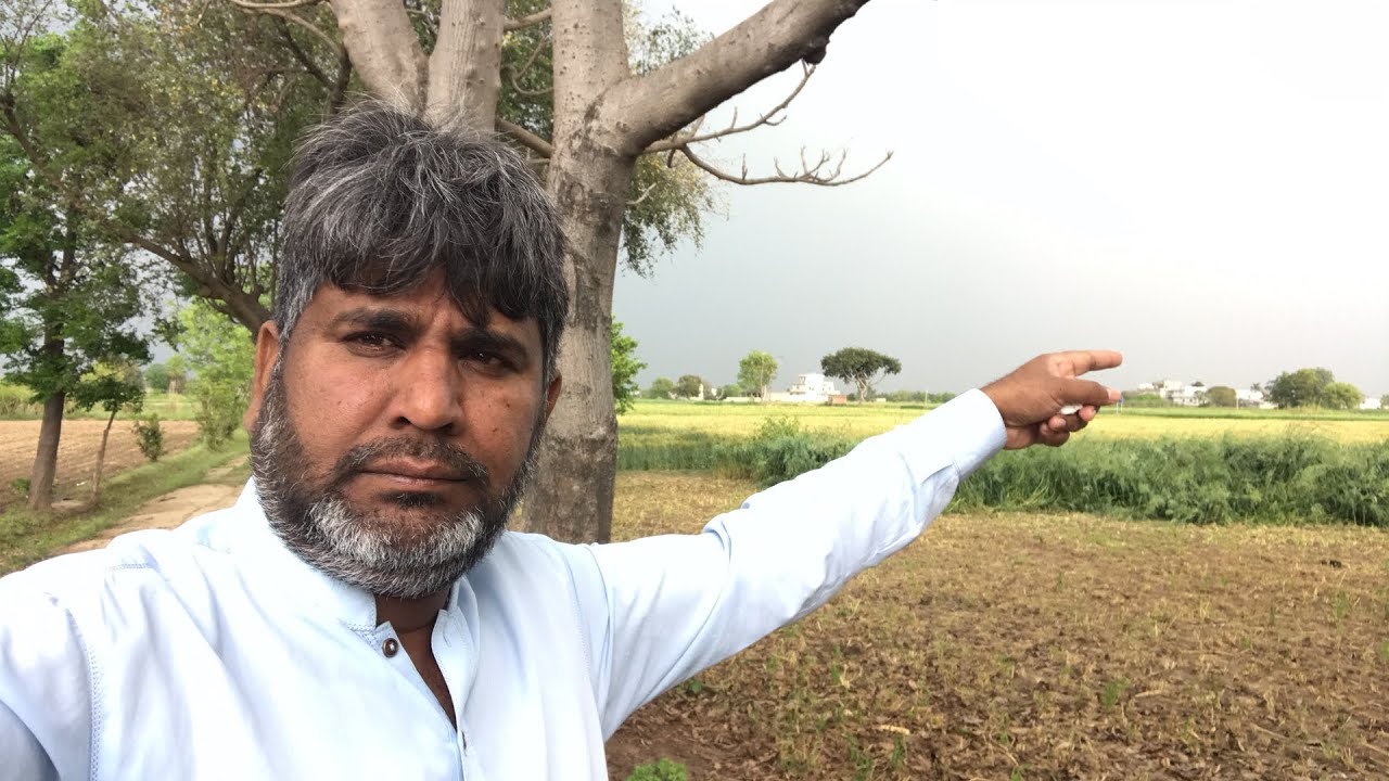 weather-update-ladha-sadha-gujrat-youtube