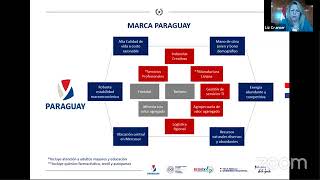 Conferencias Expo Virtual Alemania Latinoamérica - Paraguay Oportunidades De Comercio Y Negocios