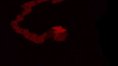 Gamecube Startup in Devil