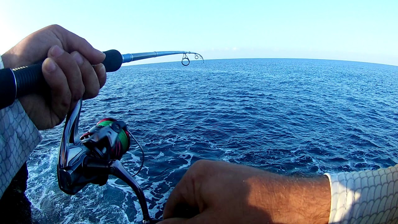 daiwa crossfire 270
