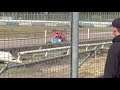 Jayden crashes