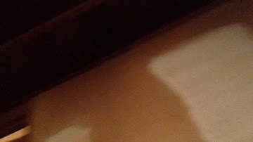 Goosinator races an AFX race track