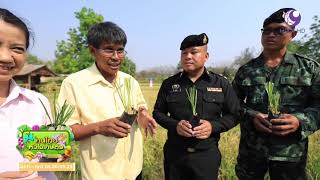คนไทยหัวใจเกษตร  02 เมษายน 2562 B3