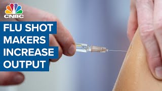 As we await Covid-19 vaccines, flu shot makers are increasing output