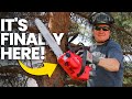 Speed Up Your Tree Trimming with M18 FUEL Top Handle Chainsaw - See How!