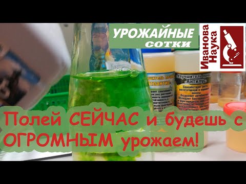 Видео: Как извлечь шикимовую кислоту?