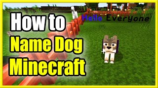 Lists 10+ Names For Minecraft Dogs 2022: Things To Know
