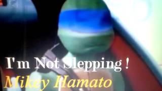 Tmnt 201216 Leo Slow Slippin Xd