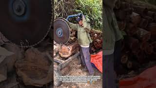 Powerful Log Cutting Machine Skills 🪵 #Woodworking #Sawmill