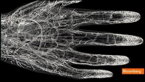 Forget Fingerprints: Vein Scanning Is Safer, Faster