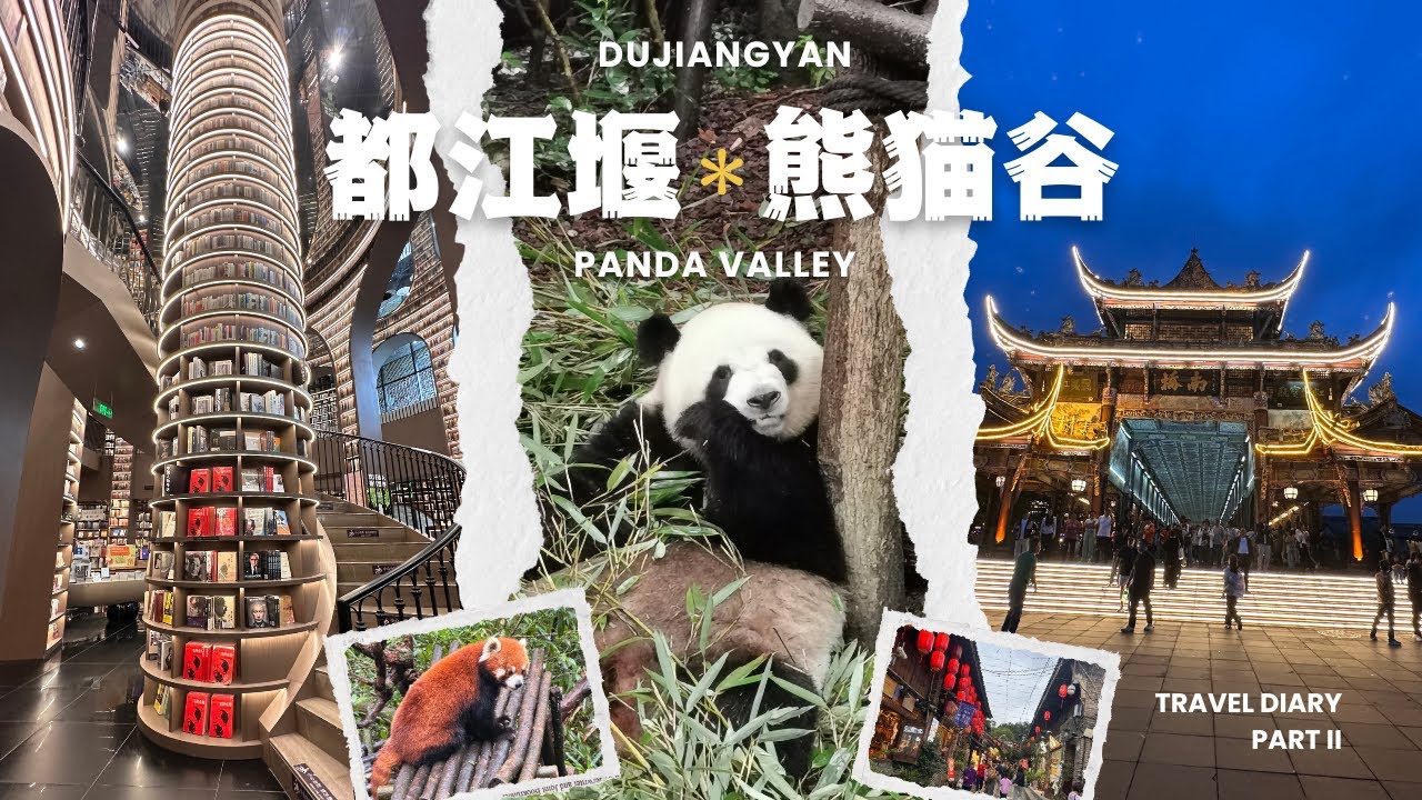 Day trip to Dujiangyan and Panda Valley 都江堰一日游: 熊猫谷、都江堰与夜景