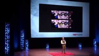 Reeducate the Immune System: Gerald T. Nepom at TEDxRainier